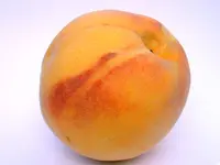 Suwanee Peach Tree