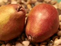 Comice Pear Tree