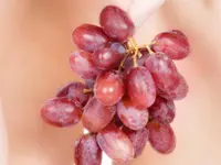 Crimson Bunch Grape Vine
