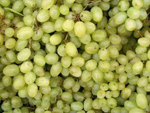 Price Chopper - Green Seedless Grapes only .88 cents/lb. 