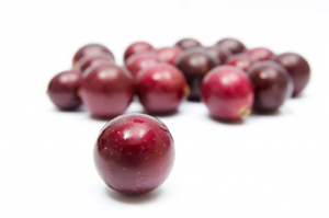 Southern Dixie Muscadine