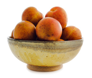 Chickasaw Plum Tree