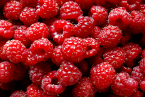 Heritage Raspberry Plant