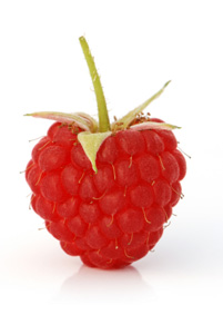 Heritage Raspberry Plant