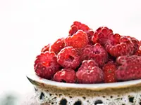 Latham Raspberry Plant