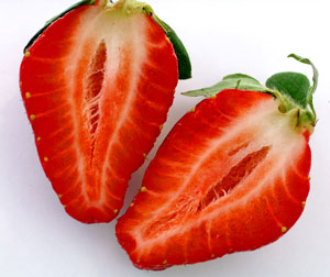 Chandler Strawberry Plant