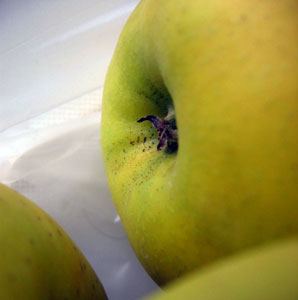 Dorsett Golden Apple Tree