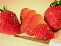 Seascape Strawberry Plant