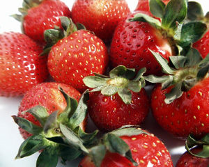 Sequoia Strawberry Plant
