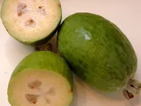 Pineapple Guava Tree