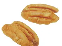 Pawnee Pecan Tree
