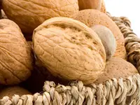 White Walnut Tree
