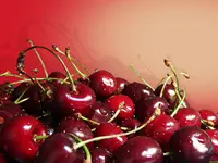 Bing Cherry Tree