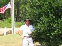 Live Oak Tree