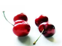 Compact Stella Cherry Tree