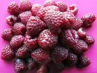 Tayberry