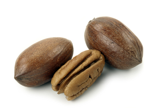 Hican Tree