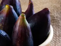 Black Jack Fig Tree