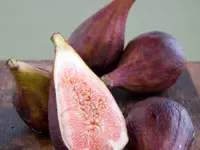 Celestial Fig Tree
