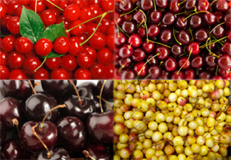 4-in-1 Combo Sweet Cherry Tree