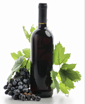 Lomanto Grape Vine