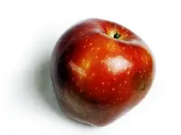 Dwarf Red Delicious Apple Tree