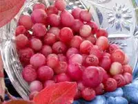 Pink Lemonade Blueberry Plant