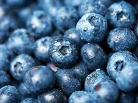 Southern Blueberry Combo