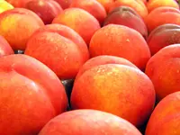 Red Baron Peach Tree