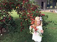 Eliza's Choice Crabapple