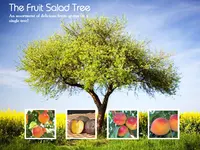 4-in-1 Fruit Salad Tree