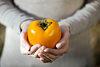 Giant Fuyu Persimmon Tree
